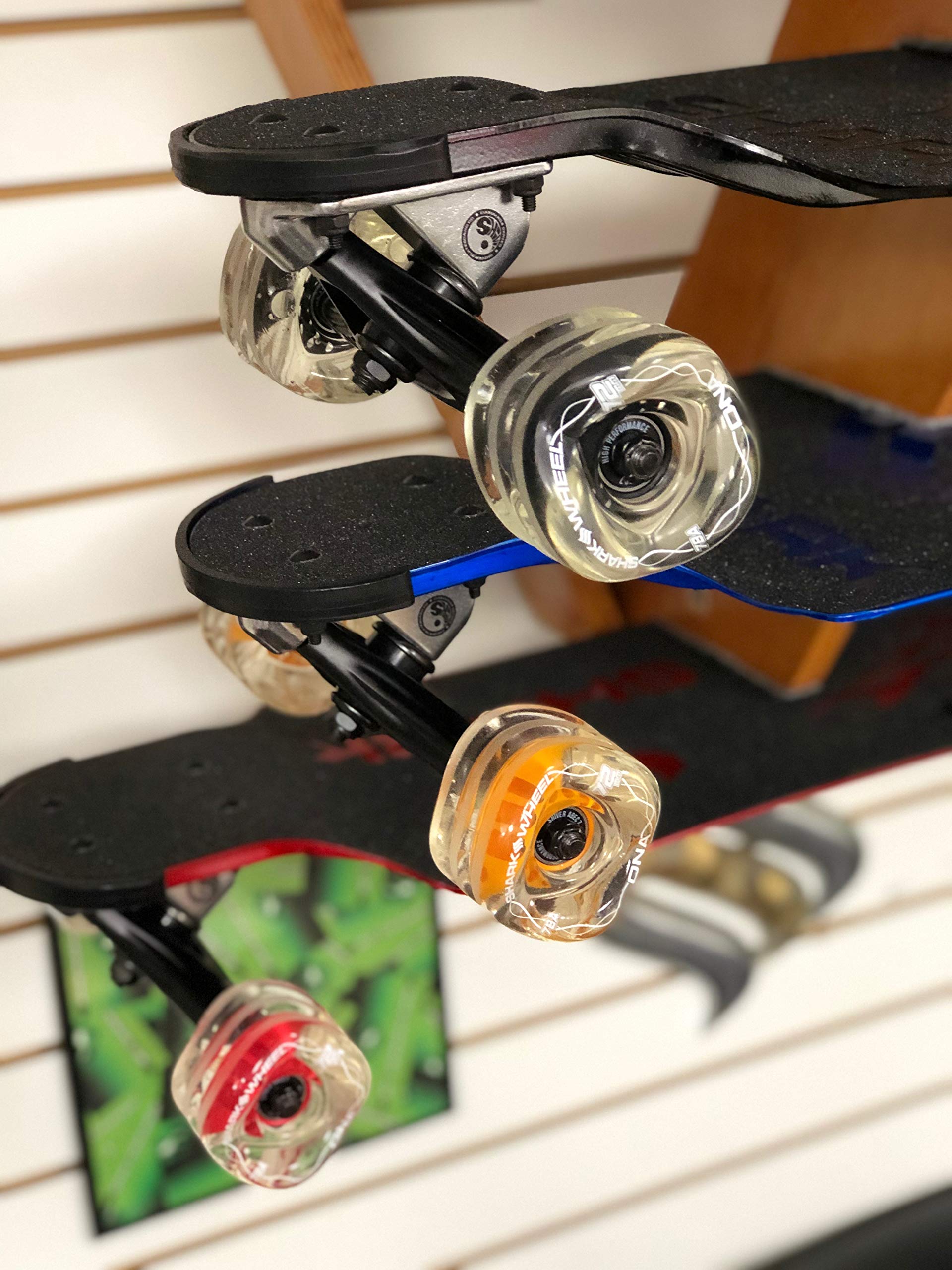 Amazon.com : Shark Wheel 72mm Longboard Cruising Wheels, DNA